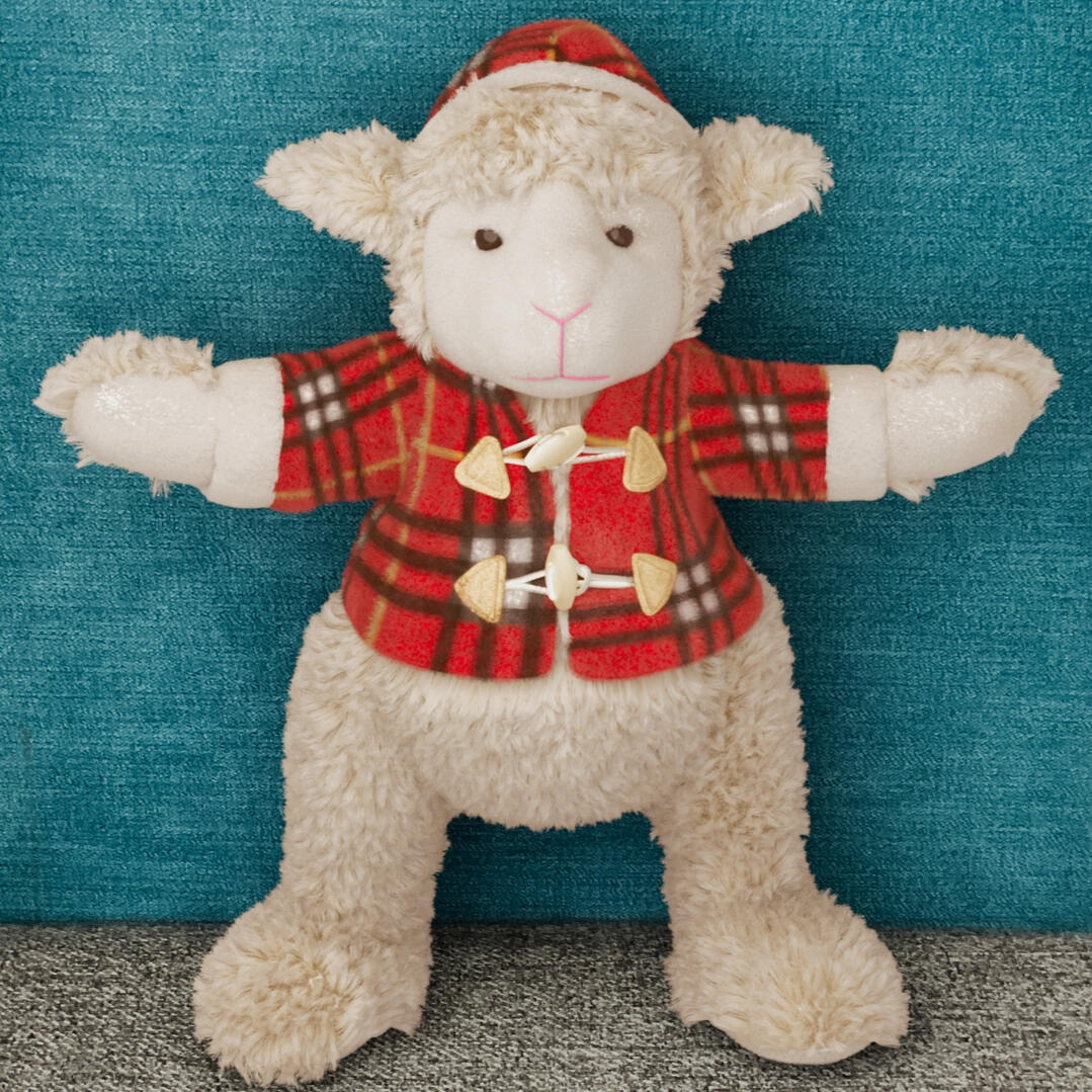 Sheep Toy Digidouble